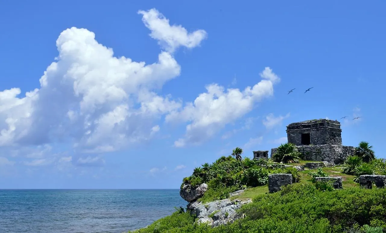 Weary Traveler Hostel Tulum