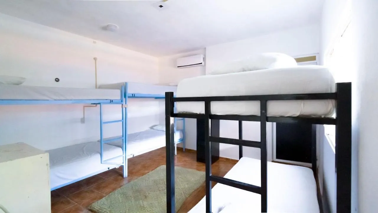Weary Traveler Hostel Tulum