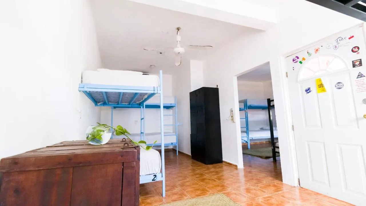 Weary Traveler Hostel Tulum