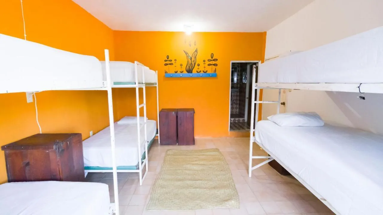 Weary Traveler Hostel Tulum