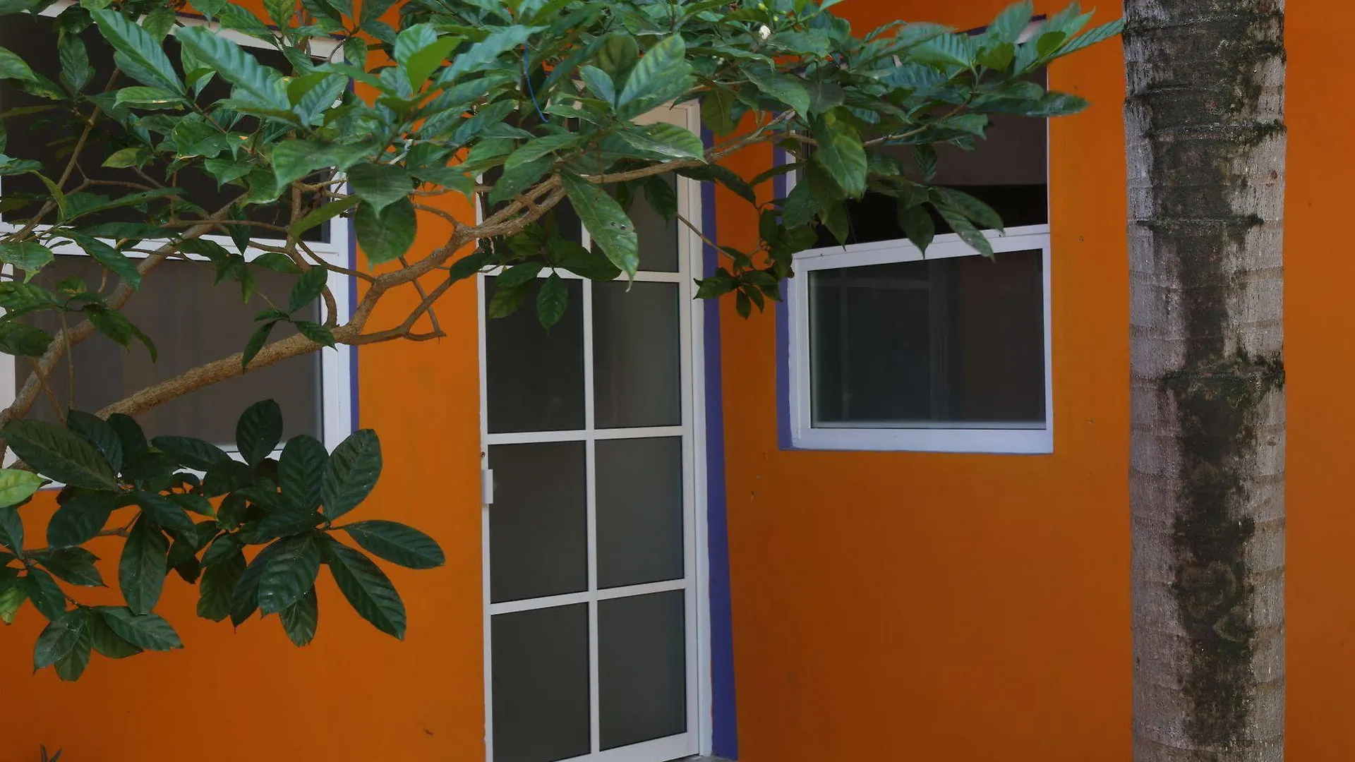 Weary Traveler Hostel Tulum