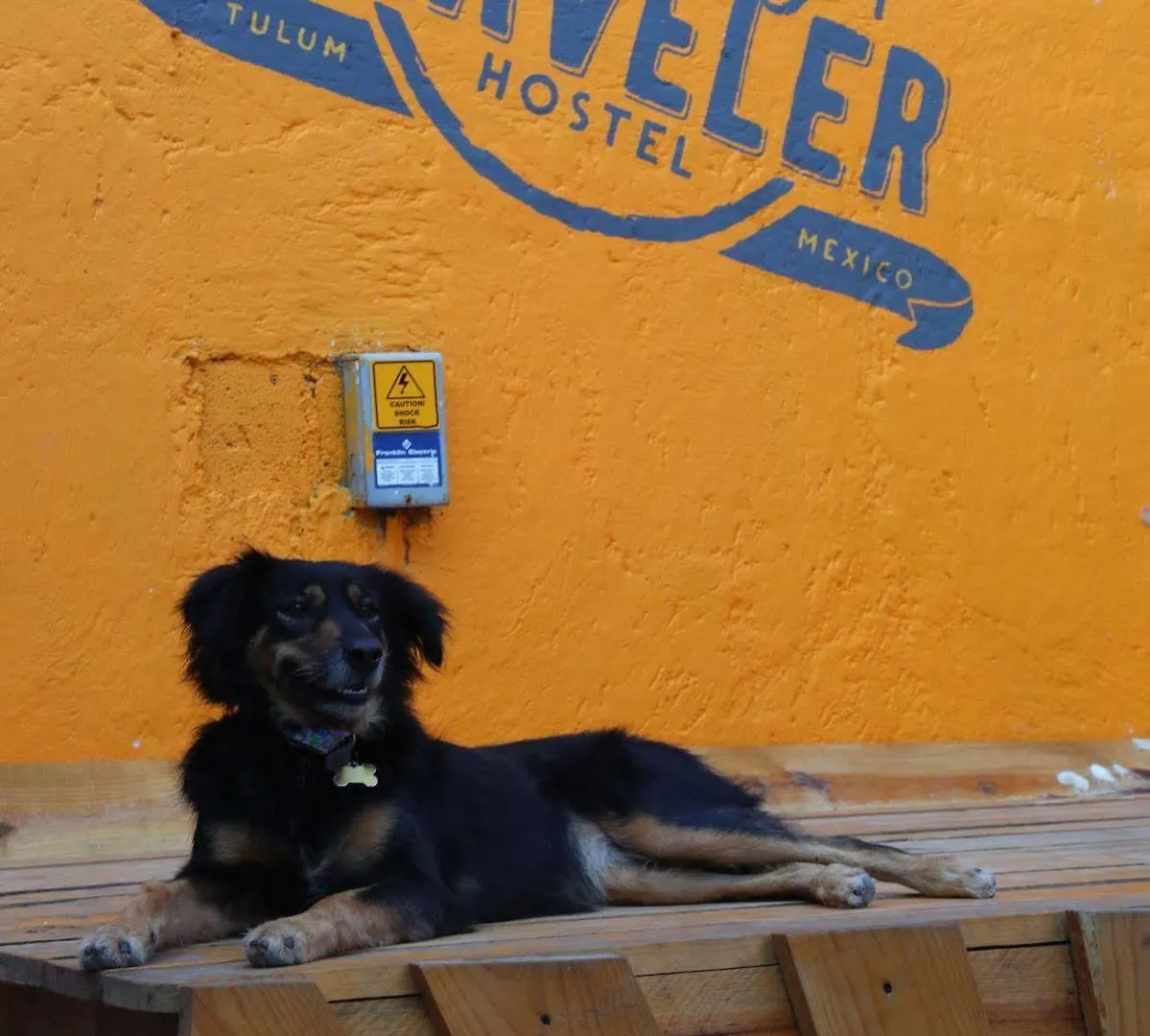 Weary Traveler Hostel Tulum 0*,